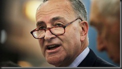 Chuck_Schumer_113861282_620x350-550x310