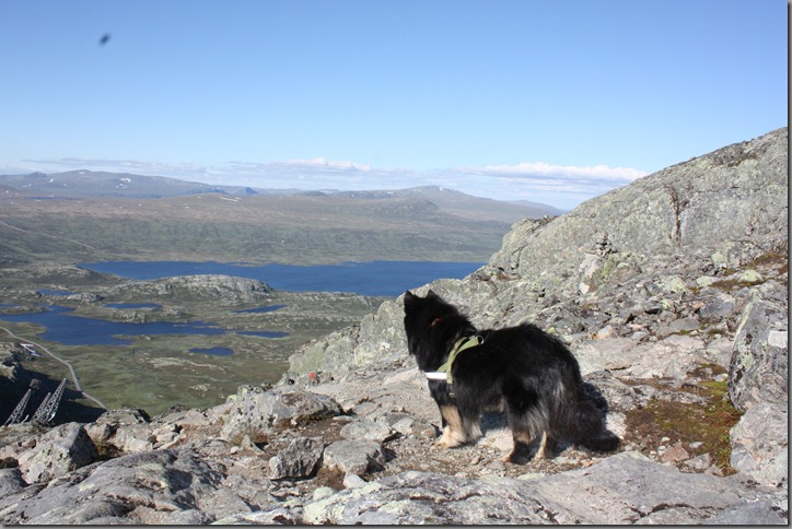 fjelltur 189 fjelltur 189