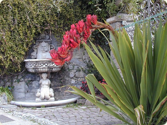 Botanical Gardens Hanbury2 Giardini botanici Hanbury2