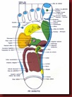 Reflexologia Mapa do Pé Direito Reflexologia Mapa do Pé Direito