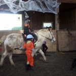 DSCF2827.JPG