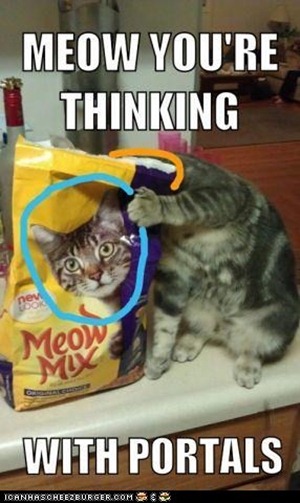 funny cats