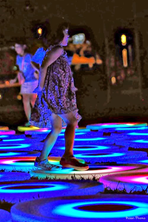 DSC_8794 DSC_8794