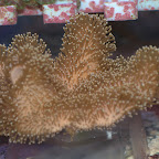 DSC_2141.jpg