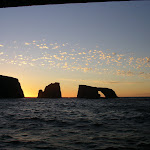 IMGP8990.JPG