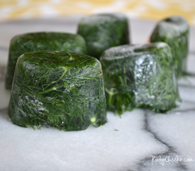Dill Ice Cubes by Poofy Cheeks