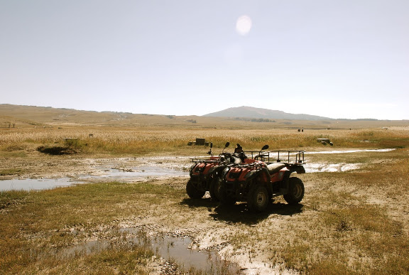 Tianshan - Paysage Buggy et prairie