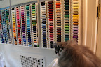 What are we going to do with that?  I'm more interested in this wall of thread spools.  These look like they will be fun to bat with our paws!