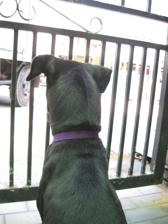 [IMG_7467%255B5%255D.jpg]
