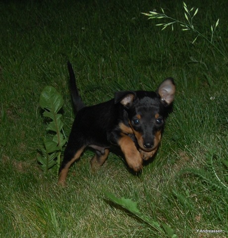 [DSC_6842%255B3%255D.jpg]