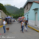 DSC_0219.JPG