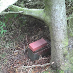 2011-08-29_12-56-49_644.jpg