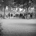 Sommerliga 2011 - [1] Boule