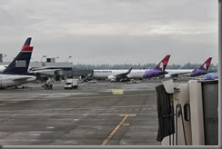 IMG_1858 IMG_1858