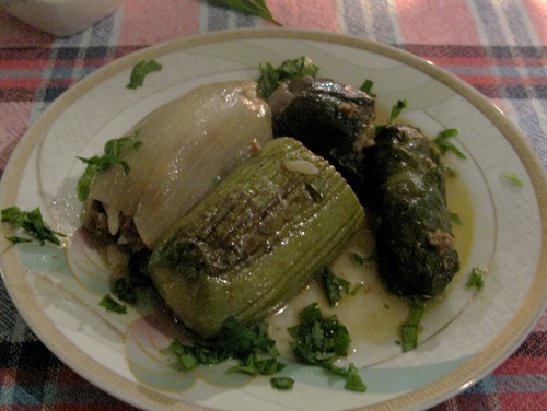 Dolma Dolma