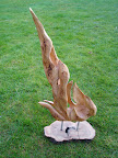 Vlammen 
Materiaal: Linde
Behandeling: Was en aansteker (...)
Afmeting: 65x24x12cm
Achtergrondinformatie: Eigen ontwerp waarbij ik me wilde uitleven met de mooie kanten van vuur met z'n mooie spelende vlammen. Fysiek was het ook uitleven omdat bijna al het hout uitgeholt werd. Met twee stalen pinnen bevestigd op een fraai tropisch houten plankje.