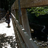 IMG_8889.jpg