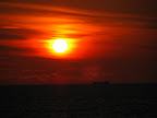 IMG_1214.JPG