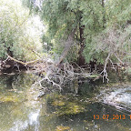 DSCN3089.JPG
