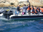 DSC08549.JPG