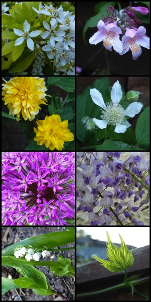 mosaicef6893925521a834cd29defd4e2c5f1dc4918ba5.jpg Mosaicef6893925521a834cd29defd4e2c5f1dc4918ba5