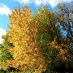 Parc de la Rivière-des-Mille-Îles