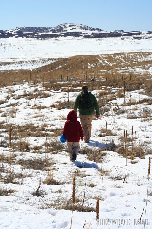 [deadwood-hike-composter-0694.jpg]