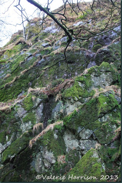 12-rock-face 12-rock-face
