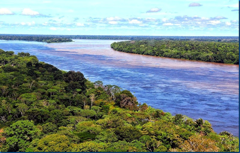 Rio Amazonas perto de Manaus