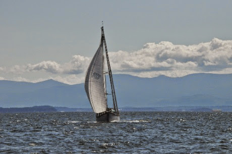 DSC_0337_2.jpg DSC 0337 2