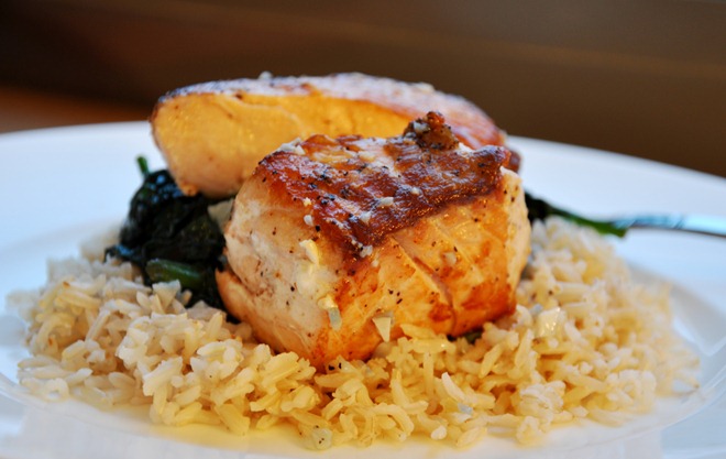 salmon 1182 salmon 1182