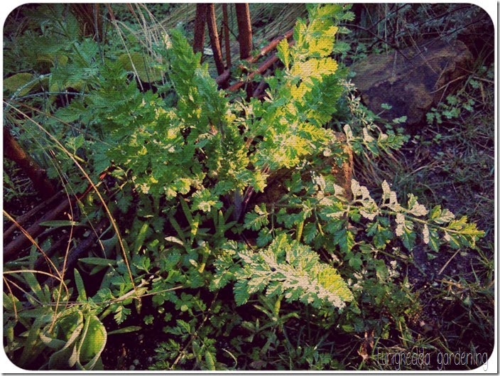 Foto 5 Foto 5