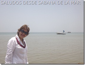 DSCF2504 DSCF2504