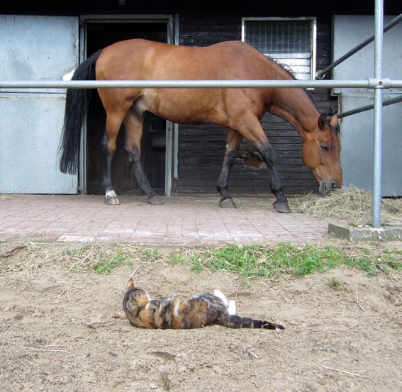 [IMG_0212%255B2%255D.jpg]