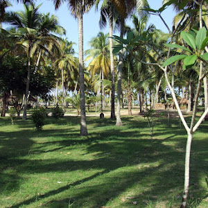 Marari Beach Resort