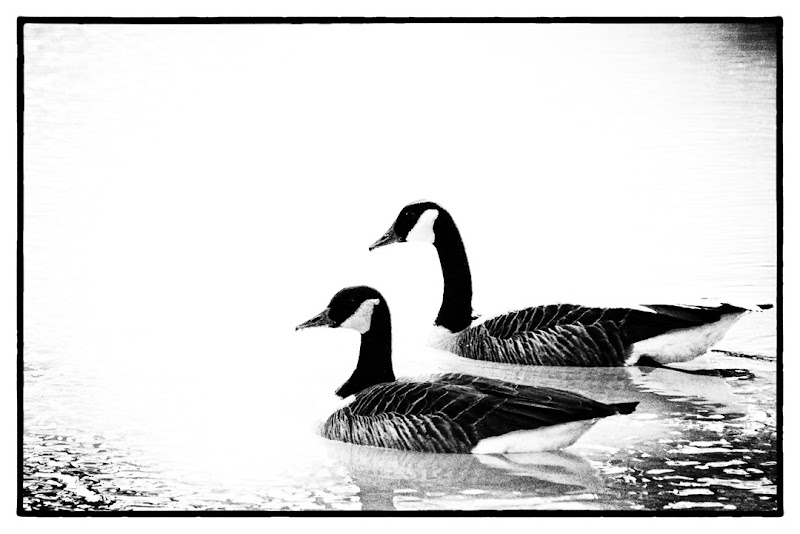 Sunday on the Pond Sunday on the Pond