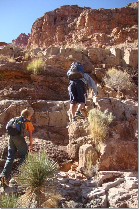 grand canyon 087
