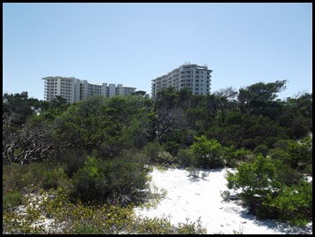 Dune hike Henderson Beach 030