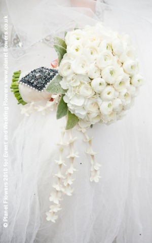 [133-planet-flowers4.jpg]