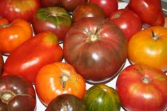 Heirlooms Heirlooms