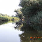DSCN4495.JPG