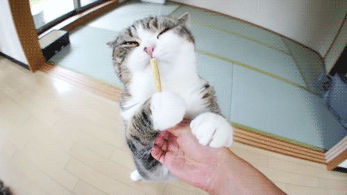 [tumblr_lk7488jxDf1qg20muo1_500%255B5%255D.gif]