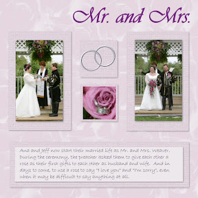 picasa image