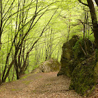 P1000268.JPG