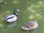 p1235030851(1).jpg