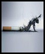 Día mundial sin tabaco