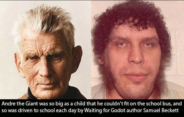 [andre-giant-facts-008%255B3%255D.jpg]