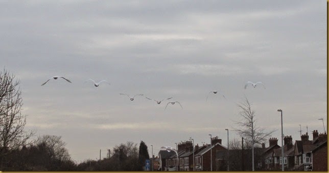 IMG_3754 IMG_3754