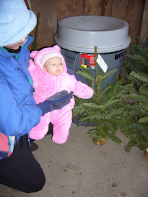 Beverly-sized Christmas trees