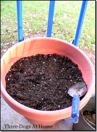 planting 019